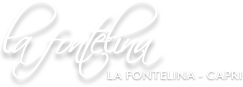 La Fontelina - Capri